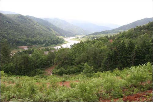 산절로야생다원. 야산의 자연성을 그대로 이용한 순수 야생차밭으로 한국 최초로 시도되고 가장 큰 야생차밭이다. 차나무는 잡목 잡초들과 어우러져 때론 경쟁하고 때론 서로 의지하며 퍽 건강하게 자라고 있다. 